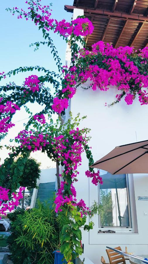 Haraki Mare Studios Beach Front Exterior foto